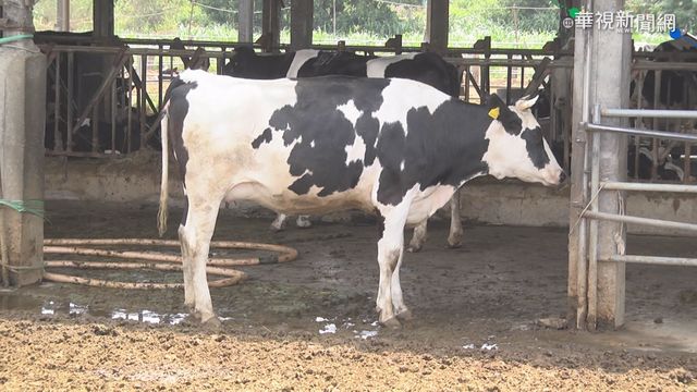 總統視察牛結節疹防疫 感謝防疫人員