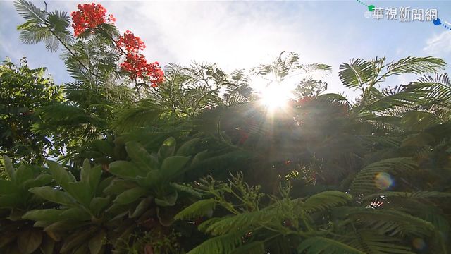 高溫飆33度！ 紫外線危險級.西半部空品「橘色提醒」