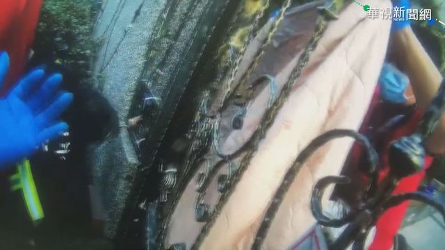 2歲童遭大門夾手指 消防隊撬門救人