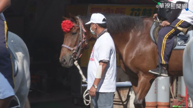 廟會遶境爆意外 男遭馬撞傷濺血