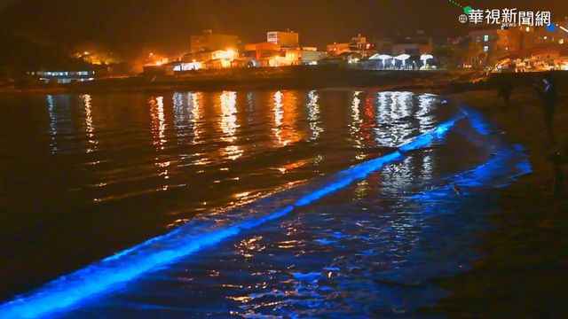 國際品牌打造 馬祖酒廠推藍眼淚酒瓶