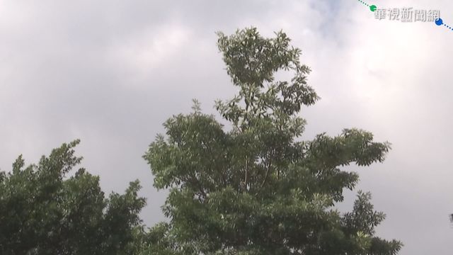 本週兩波鋒面接力 南部地區可望稍解渴