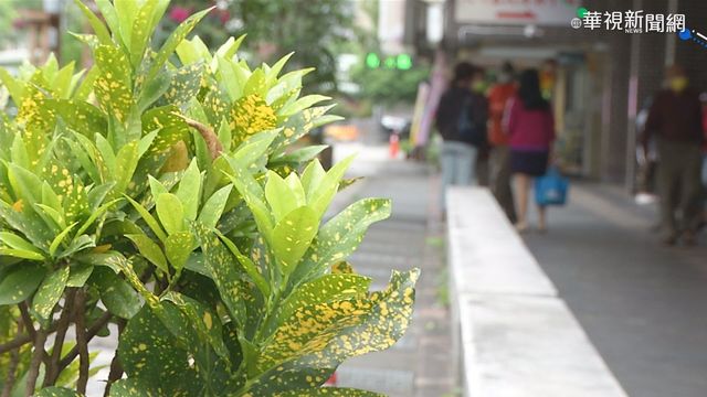 北市國宅機師確診 里長盼公布免恐慌