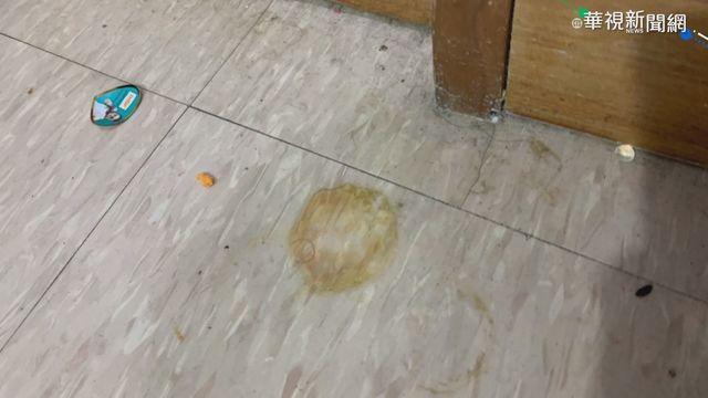 機組員移至檢疫所 房內毛髮.蟲屍散布