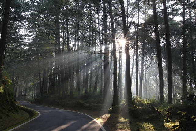 國際護師節 14處國家森林遊樂區限時5天免費玩