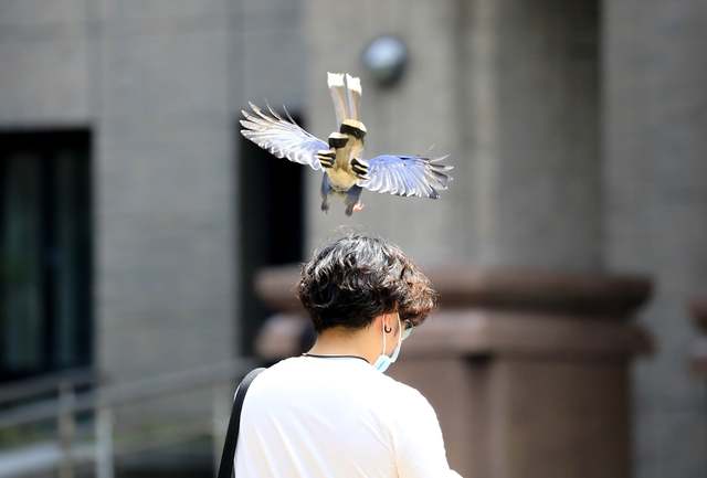 (翻攝文化大學臉書粉專)