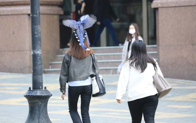 (翻攝文化大學臉書粉專)