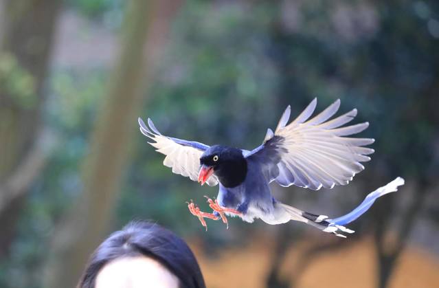 (翻攝文化大學臉書粉專)