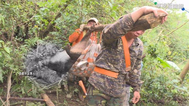 原民獵保育動物 大法官宣告部分違憲