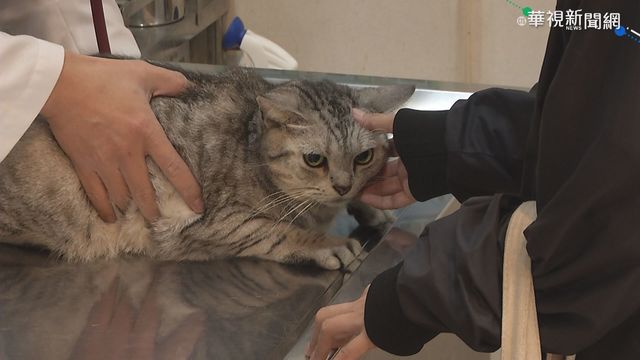 棄台大醫不讀 考生第一志願改填獸醫!