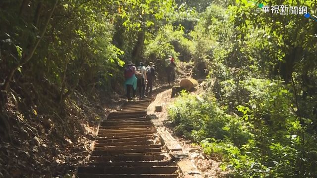 暌違12年重新開園 ｢藤枝｣湧滿滿遊客