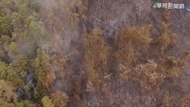 南投仁愛山林火 警消背水箱登山滅火