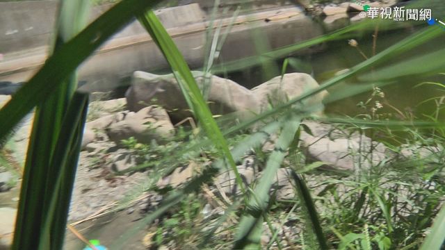 出遊意外! 27歲男與7歲男童溺水雙亡