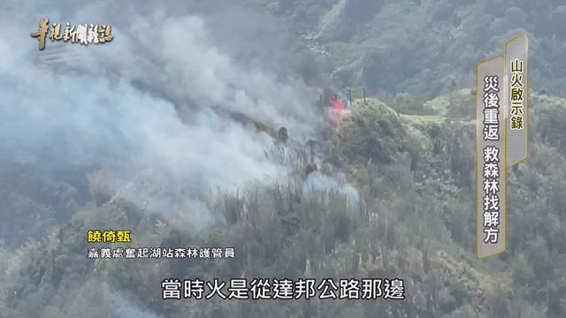 災後重返 救森林找解方 ｜火山啟示錄｜華視新聞雜誌