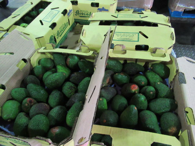 （食藥署提供）