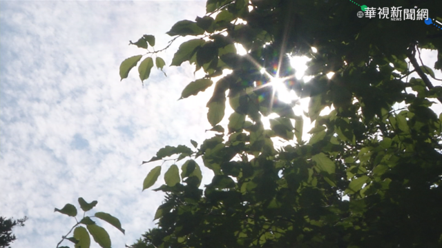 高溫熱爆持續一週! 高壓影響降雨少