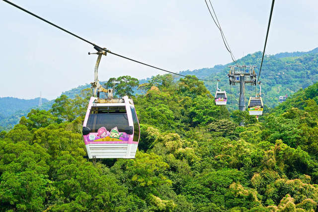 即日起貓纜限乘4人、小巨蛋冰上樂園只供會員進場