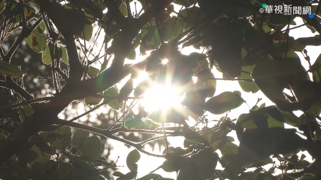 投.南.高恐飆38度 5月底才有望入梅