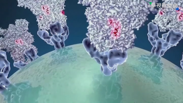 病毒基因定序相同 外界質疑：擴散中還是圍堵中？