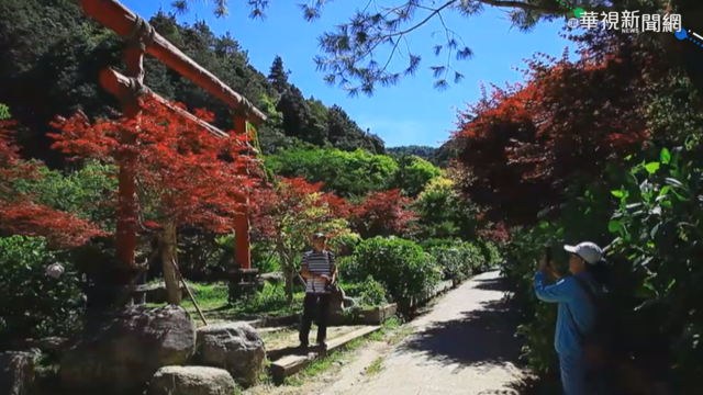 本土疫情升溫 鹿港老街.杉林溪人潮減