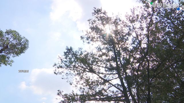 本週仍「炎如盛夏」飆38度 中南部嚴防熱傷害