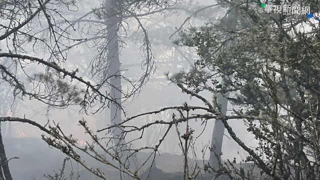 八通關杜鵑營地火燒山 延燒1.5公頃