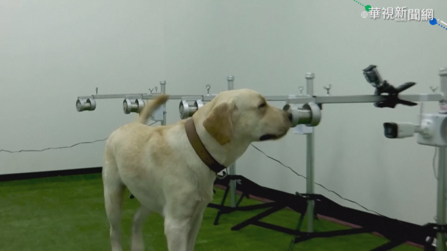 印度變種病毒入侵 泰國加速施打疫苗