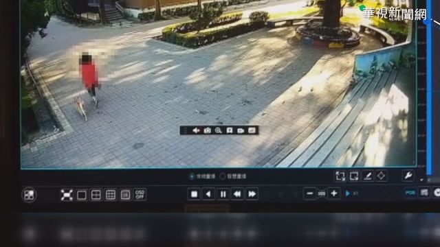 無視禁令闖校園遛狗 女最重罰30萬元