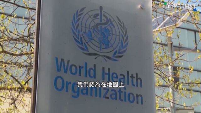 美加日英澳及8友邦 WHA發聲挺台灣