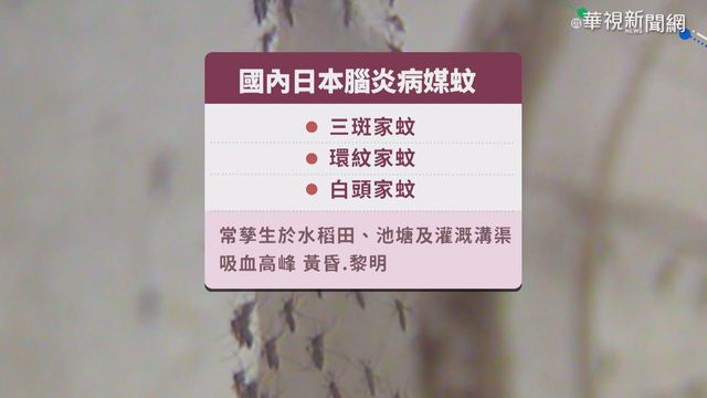 住家鄰近稻田豬舍 高雄男罹日本腦炎