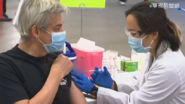 「輝瑞疫苗團」是假的！ 雄獅、鳳凰澄清無此規劃