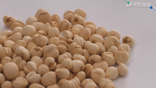 中醫研究 川貝.葡萄有效阻斷病毒入侵