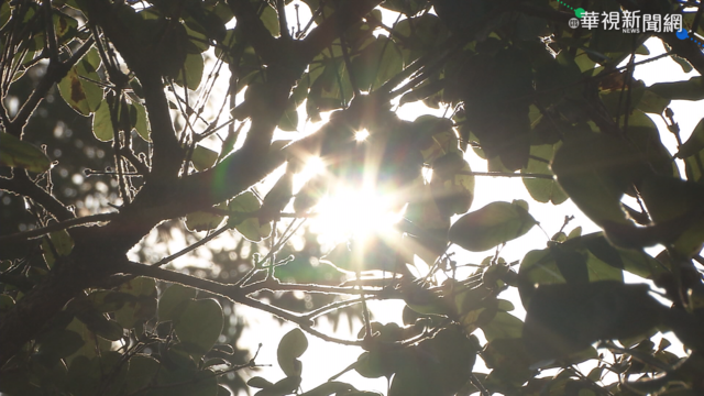 全台高溫橘黃燈 滯留鋒接近「明起變天」嚴防強降雨