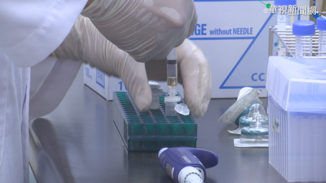 高端力求7月開打 聯亞預計8月接棒