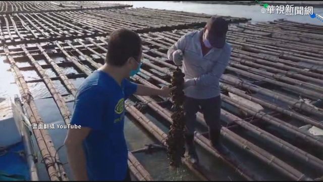 疫情禁內用需求減 海鮮業者線上開賣