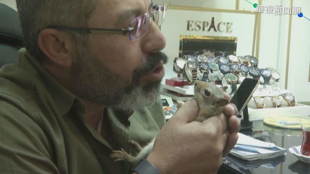 松鼠奮力守財 阻擋外人接近收銀機