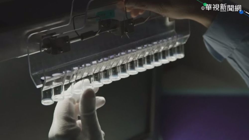 助全球抗疫! 美擬購5億劑輝瑞捐百國