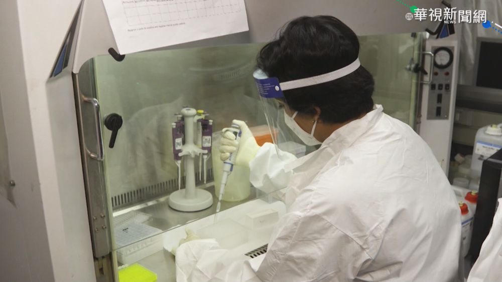 高端疫苗解盲成功 衛福部曝聯亞一個月後跟進解盲