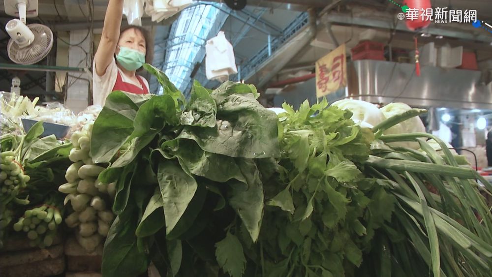 颱風挾雨釀農損 青江菜批發價飆至61元