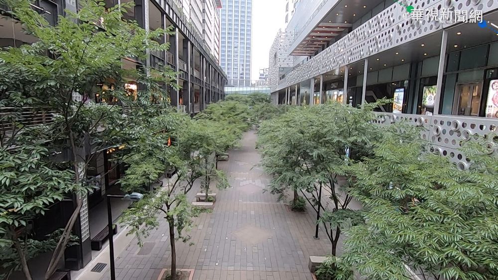 何時能正常生活？台大醫師圖表分析：疫苗施打率超過35%