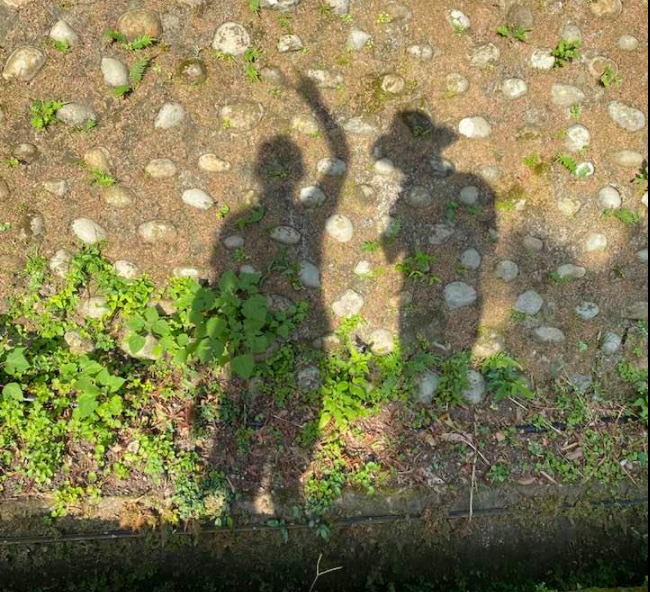 端午連假「登山照」引論戰 鄭明典：不用那麼極端