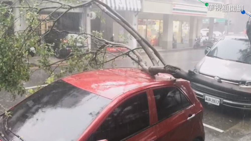 台灣大道雨勢過大 路樹傾倒慢車道