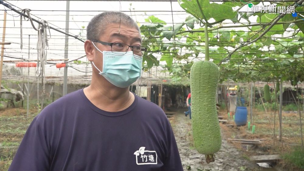 大雨狂炸! 彰化瓜果腐爛.菜價飆漲