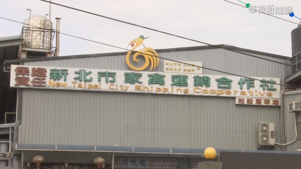 新北家禽屠宰場移工染疫 8人PCR陽性