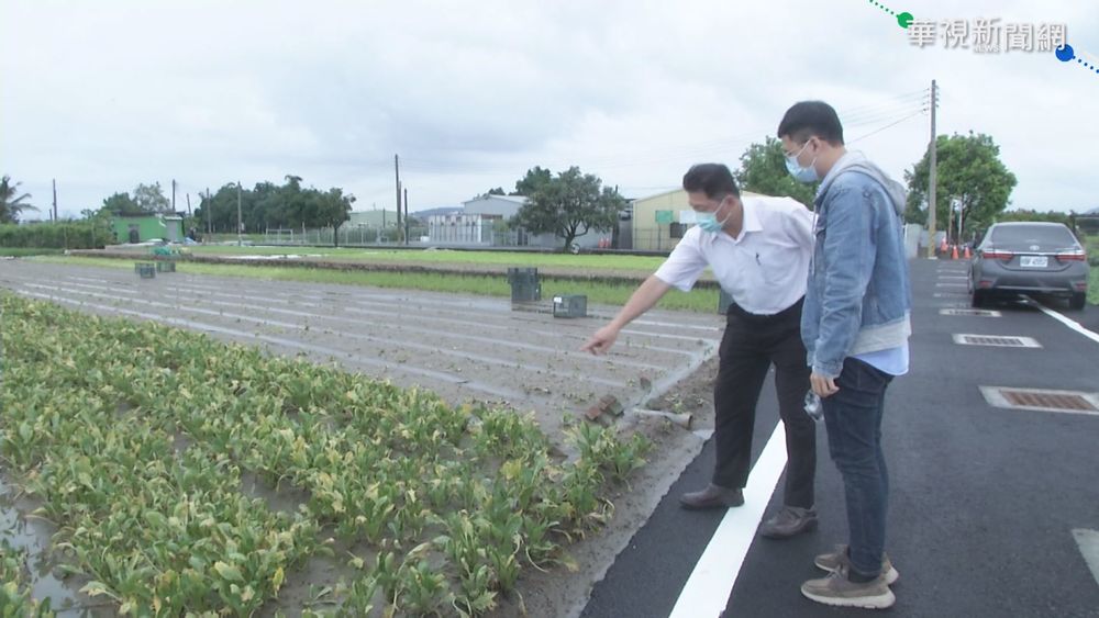 連日大雨泡爛蔬果 葉菜價格翻倍漲