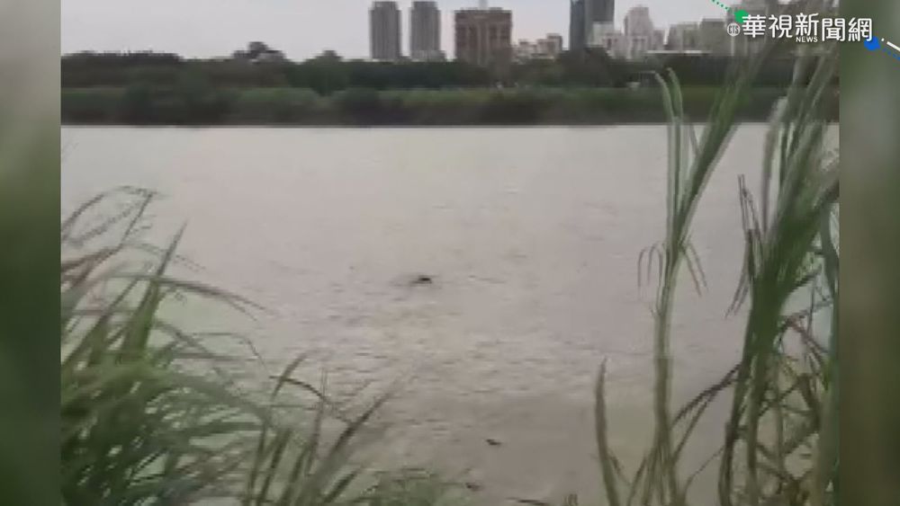 男撬機車置物櫃行竊 被發現跳溪落跑