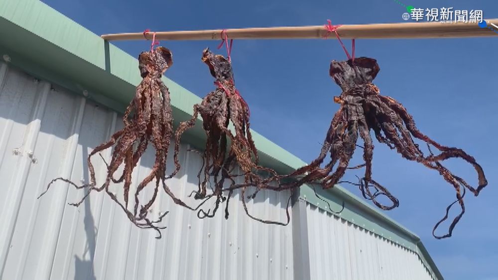 夏日奇景! "章魚乾"風箏 飄台東天空