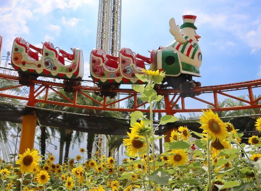 遊樂園微解封！各大遊樂園防疫措施整理看這裡