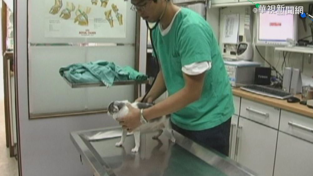 北市第一槍! 執業獸醫.助理明打疫苗