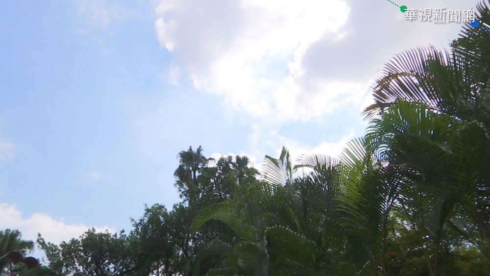 高溫熱傷害！ 急診醫曝急救3快處理原則